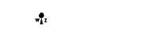 Wizard